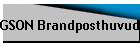 GSON Brandposthuvud